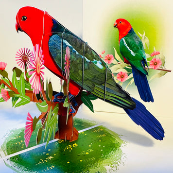 Single Australian King Parrot - Aussie Bird Origami Pop Cards 3D Pop Up Greeting Card Celebrate Happy Birthday Thank You Handmade Best Wishes Gift Thinking of You Blank Card for Any Occasion Happy Mother's Day Happy Father's Day Australiana Birds