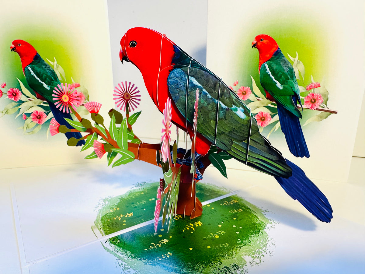Single Australian King Parrot - Aussie Bird Origami Pop Cards 3D Pop Up Greeting Card Celebrate Happy Birthday Thank You Handmade Best Wishes Gift Thinking of You Blank Card for Any Occasion Happy Mother's Day Happy Father's Day Australiana Birds