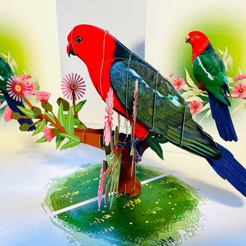 Single Australian King Parrot - Aussie Bird Origami Pop Cards 3D Pop Up Greeting Card Celebrate Happy Birthday Thank You Handmade Best Wishes Gift Thinking of You Blank Card for Any Occasion Happy Mother's Day Happy Father's Day Australiana Birds