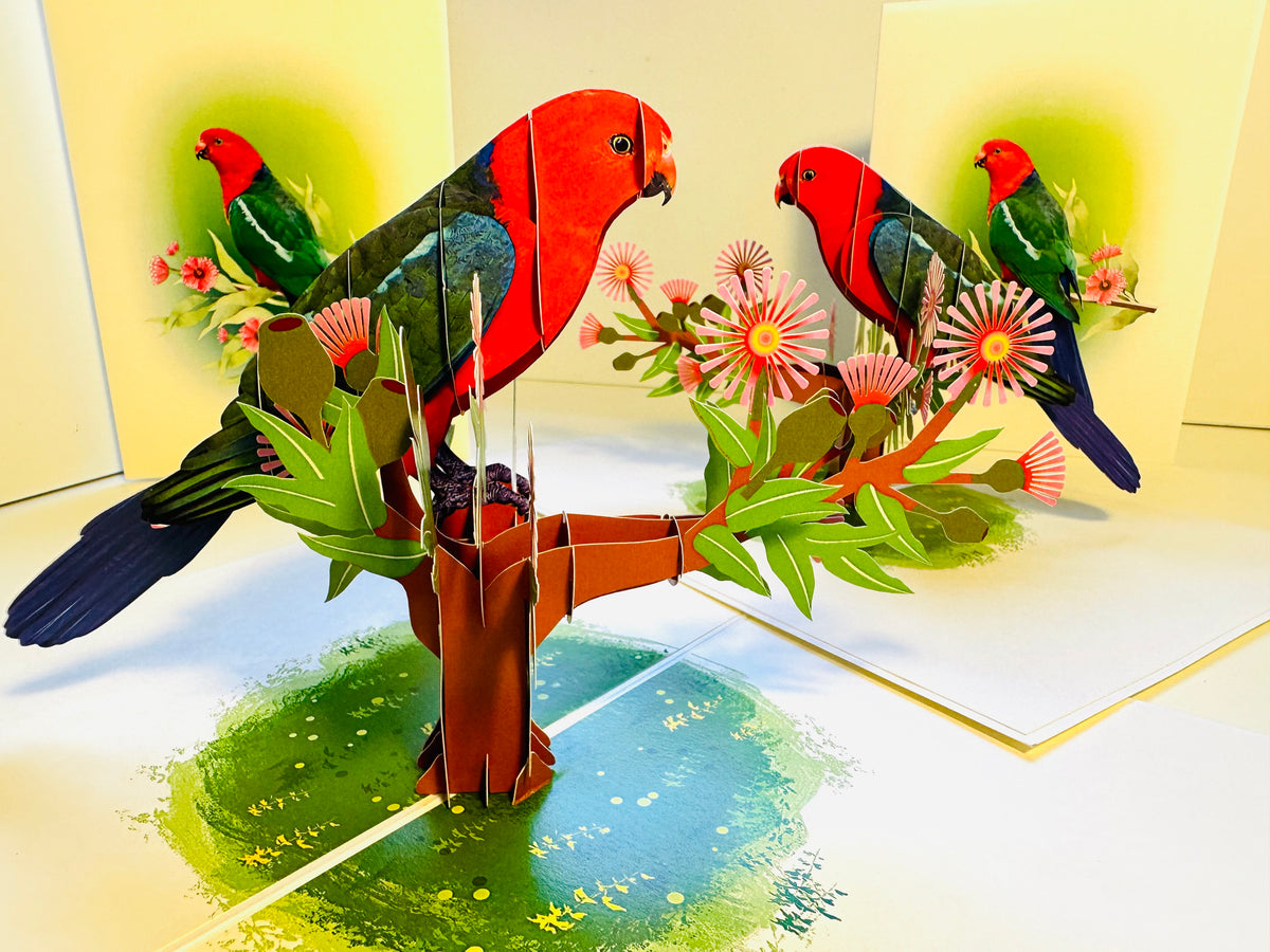 Single Australian King Parrot - Aussie Bird Origami Pop Cards 3D Pop Up Greeting Card Celebrate Happy Birthday Thank You Handmade Best Wishes Gift Thinking of You Blank Card for Any Occasion Happy Mother's Day Happy Father's Day Australiana Birds