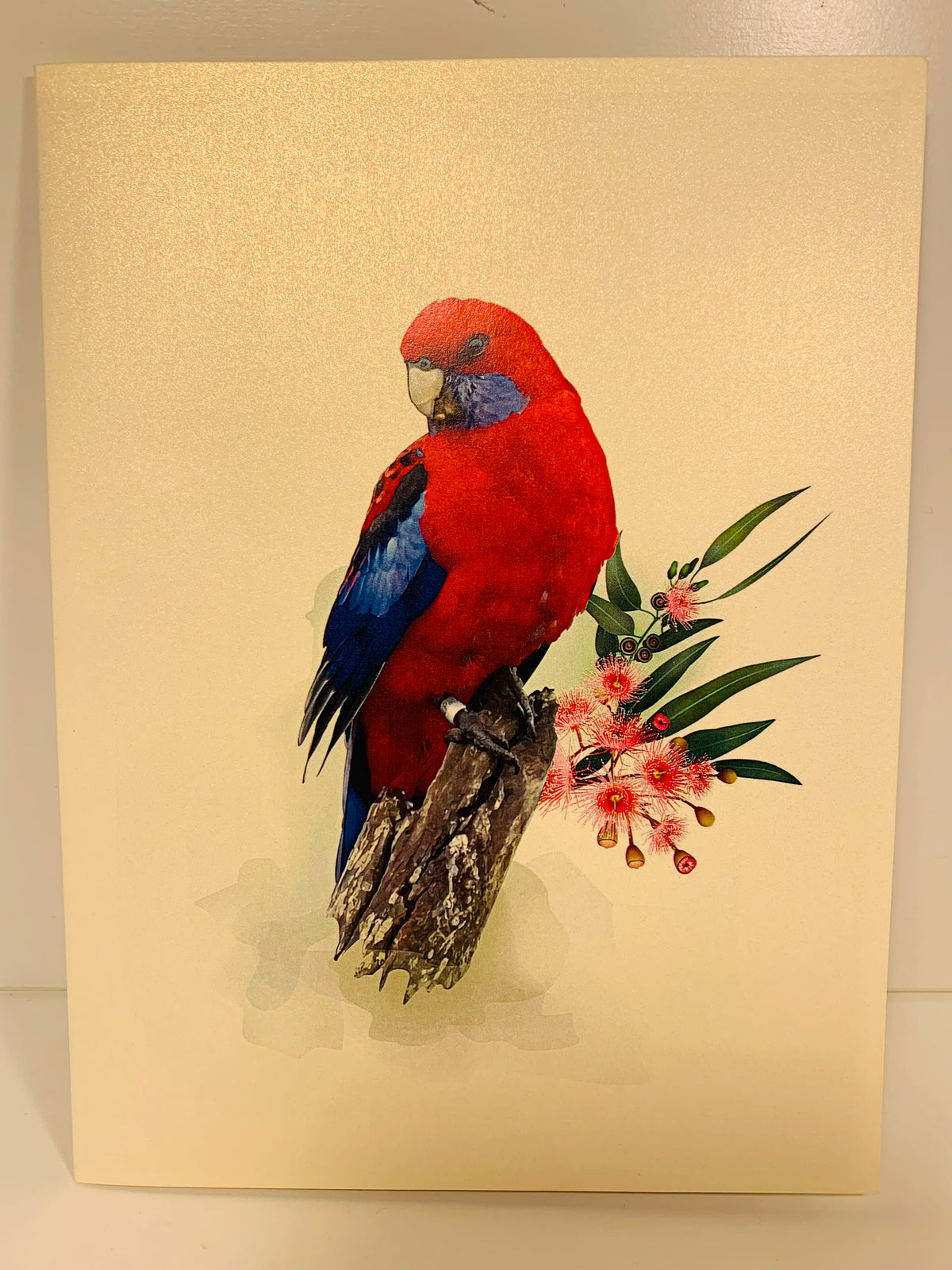 Single Crimson Rosella Parrot Australian Bird Origami Pop Cards 3D Pop Up Greeting Card Happy Birthday Thank You Handmade Gift Thinking of You Blank Card for Any Occasion Happy Mother's Day Happy Father's Australiana Birds
