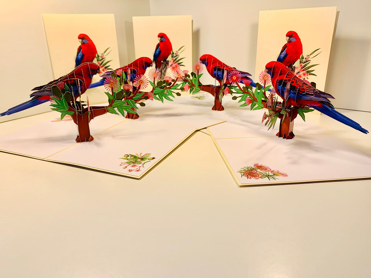 Single Crimson Rosella Parrot Australian Bird Origami Pop Cards 3D Pop Up Greeting Card Happy Birthday Thank You Handmade Gift Thinking of You Blank Card for Any Occasion Happy Mother's Day Happy Father's Australiana Birds