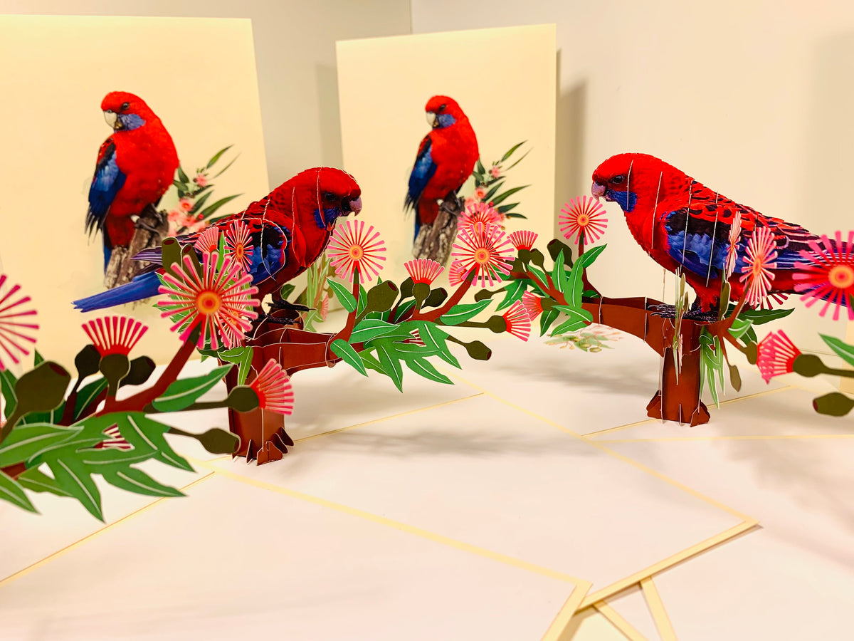 Single Crimson Rosella Parrot Australian Bird Origami Pop Cards 3D Pop Up Greeting Card Happy Birthday Thank You Handmade Gift Thinking of You Blank Card for Any Occasion Happy Mother's Day Happy Father's Australiana Birds