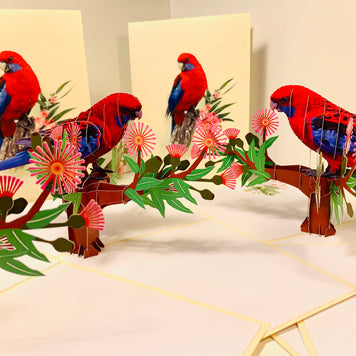 Single Crimson Rosella Parrot Australian Bird Origami Pop Cards 3D Pop Up Greeting Card Happy Birthday Thank You Handmade Gift Thinking of You Blank Card for Any Occasion Happy Mother's Day Happy Father's Australiana Birds