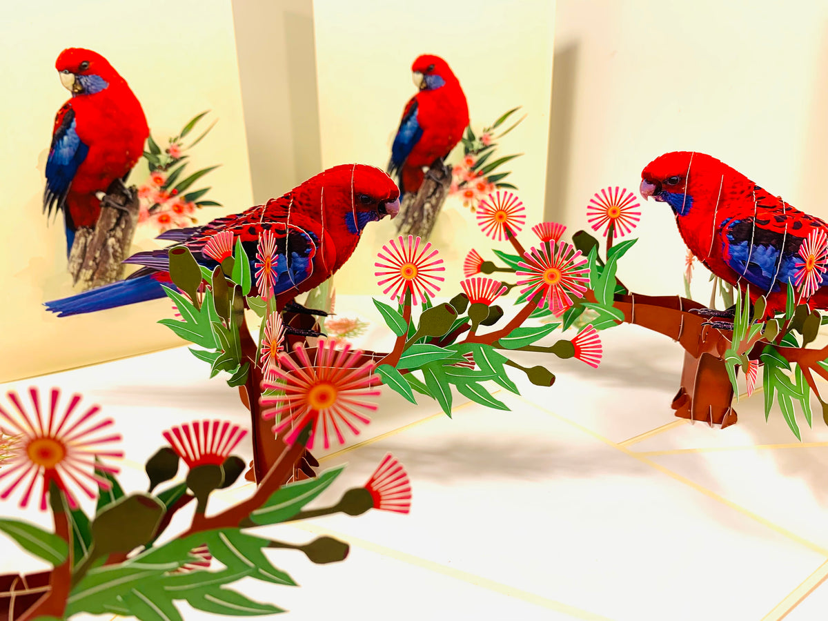 Single Crimson Rosella Parrot Australian Bird Origami Pop Cards 3D Pop Up Greeting Card Happy Birthday Thank You Handmade Gift Thinking of You Blank Card for Any Occasion Happy Mother's Day Happy Father's Australiana Birds