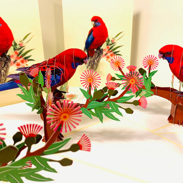 Single Crimson Rosella Parrot Australian Bird Origami Pop Cards 3D Pop Up Greeting Card Happy Birthday Thank You Handmade Gift Thinking of You Blank Card for Any Occasion Happy Mother's Day Happy Father's Australiana Birds