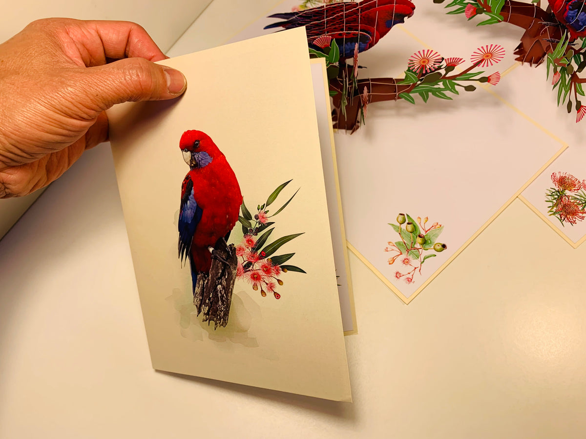 Single Crimson Rosella Parrot Australian Bird Origami Pop Cards 3D Pop Up Greeting Card Happy Birthday Thank You Handmade Gift Thinking of You Blank Card for Any Occasion Happy Mother's Day Happy Father's Australiana Birds