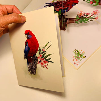 Single Crimson Rosella Parrot Australian Bird Origami Pop Cards 3D Pop Up Greeting Card Happy Birthday Thank You Handmade Gift Thinking of You Blank Card for Any Occasion Happy Mother's Day Happy Father's Australiana Birds