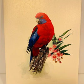 Single Crimson Rosella Parrot Australian Bird Origami Pop Cards 3D Pop Up Greeting Card Happy Birthday Thank You Handmade Gift Thinking of You Blank Card for Any Occasion Happy Mother's Day Happy Father's Australiana Birds