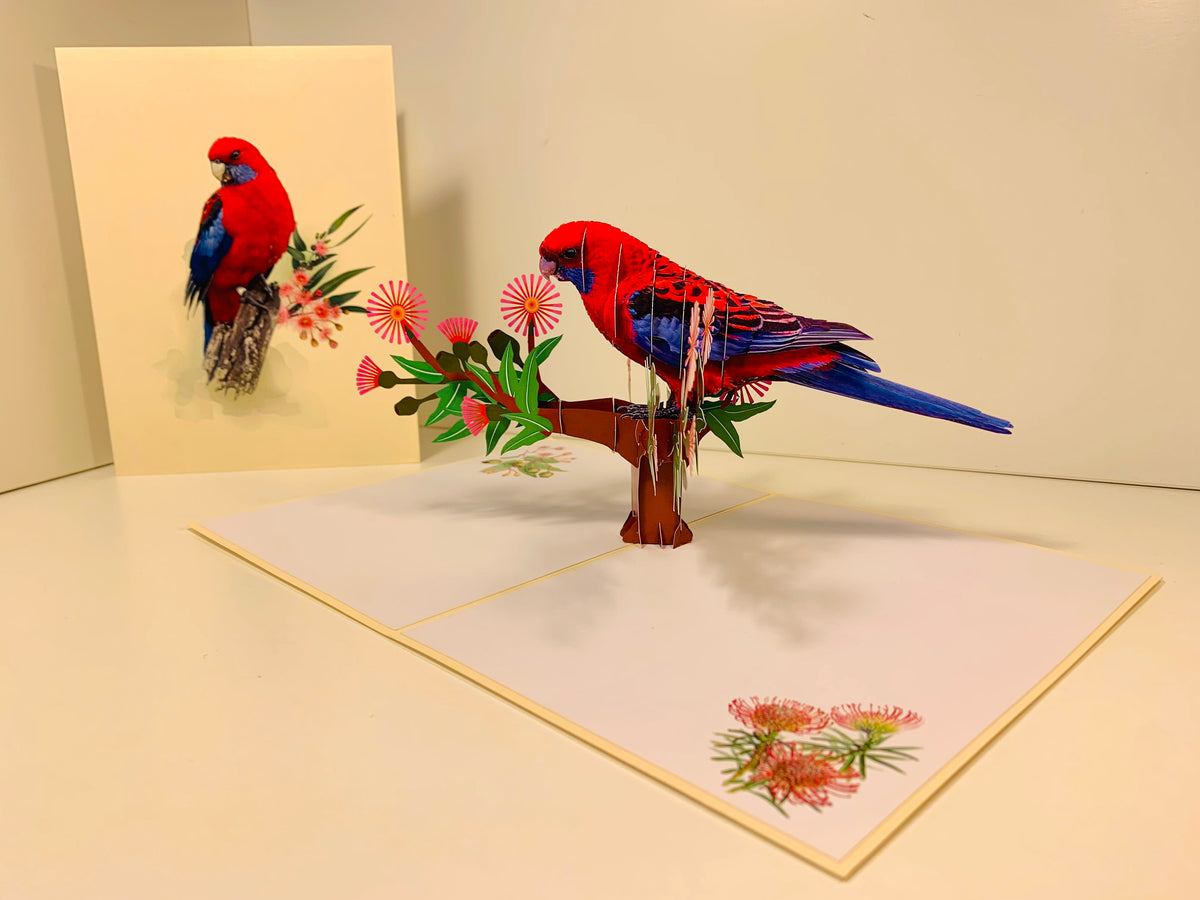 Single Crimson Rosella Parrot Australian Bird Origami Pop Cards 3D Pop Up Greeting Card Happy Birthday Thank You Handmade Gift Thinking of You Blank Card for Any Occasion Happy Mother's Day Happy Father's Australiana Birds