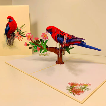 Single Crimson Rosella Parrot Australian Bird Origami Pop Cards 3D Pop Up Greeting Card Happy Birthday Thank You Handmade Gift Thinking of You Blank Card for Any Occasion Happy Mother's Day Happy Father's Australiana Birds