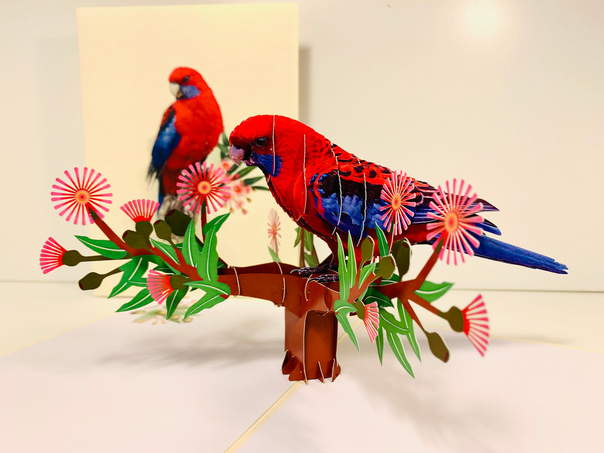 Single Crimson Rosella Parrot Australian Bird Origami Pop Cards 3D Pop Up Greeting Card Happy Birthday Thank You Handmade Gift Thinking of You Blank Card for Any Occasion Happy Mother's Day Happy Father's Australiana Birds