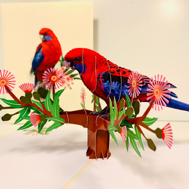 Single Crimson Rosella Parrot Australian Bird Origami Pop Cards 3D Pop Up Greeting Card Happy Birthday Thank You Handmade Gift Thinking of You Blank Card for Any Occasion Happy Mother's Day Happy Father's Australiana Birds