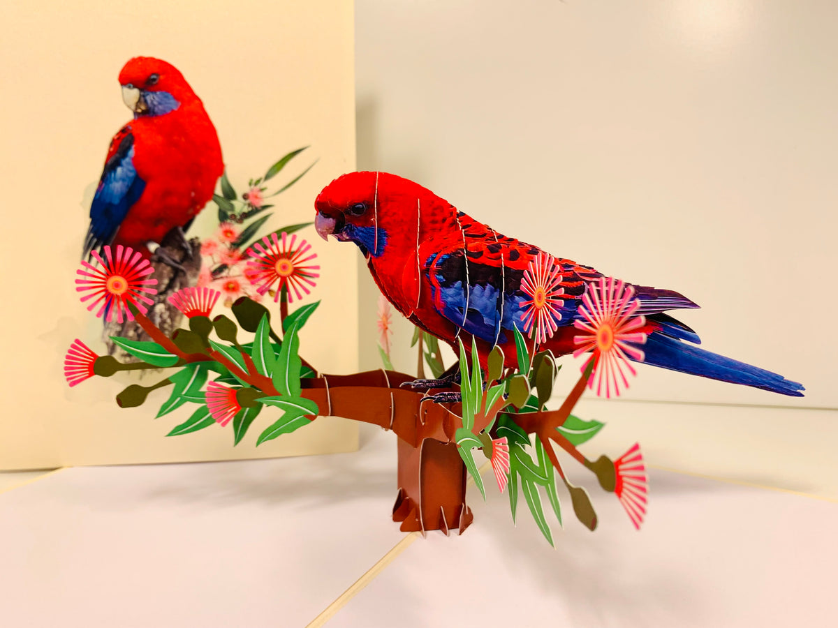 Single Crimson Rosella Parrot Australian Bird Origami Pop Cards 3D Pop Up Greeting Card Happy Birthday Thank You Handmade Gift Thinking of You Blank Card for Any Occasion Happy Mother's Day Happy Father's Australiana Birds