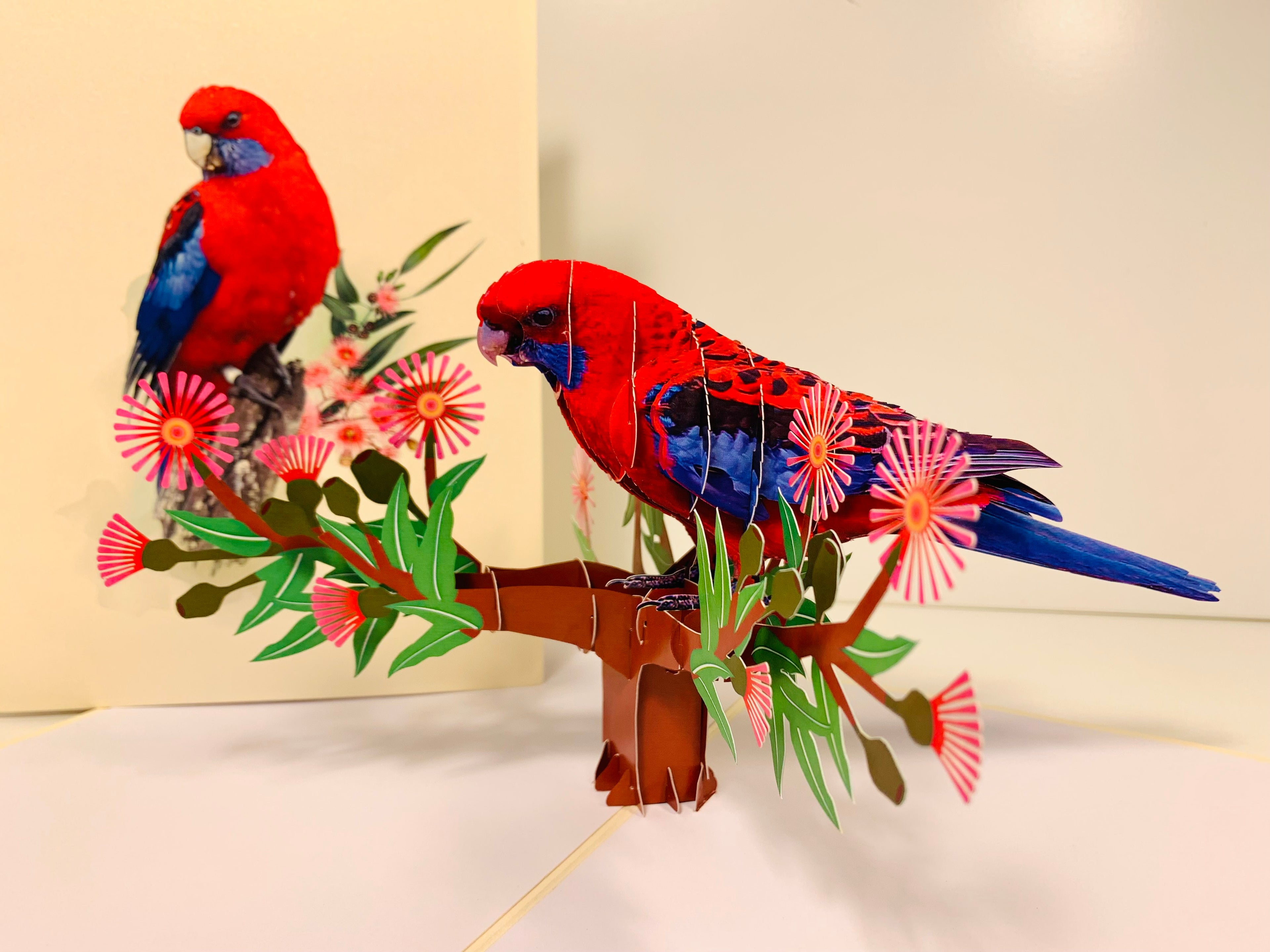 Single Crimson Rosella Parrot Australian Bird Origami Pop Cards 3D Pop Up Greeting Card Happy Birthday Thank You Handmade Gift Thinking of You Blank Card for Any Occasion Happy Mother's Day Happy Father's Australiana Birds