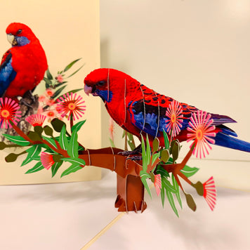 Single Crimson Rosella Parrot Australian Bird Origami Pop Cards 3D Pop Up Greeting Card Happy Birthday Thank You Handmade Gift Thinking of You Blank Card for Any Occasion Happy Mother's Day Happy Father's Australiana Birds