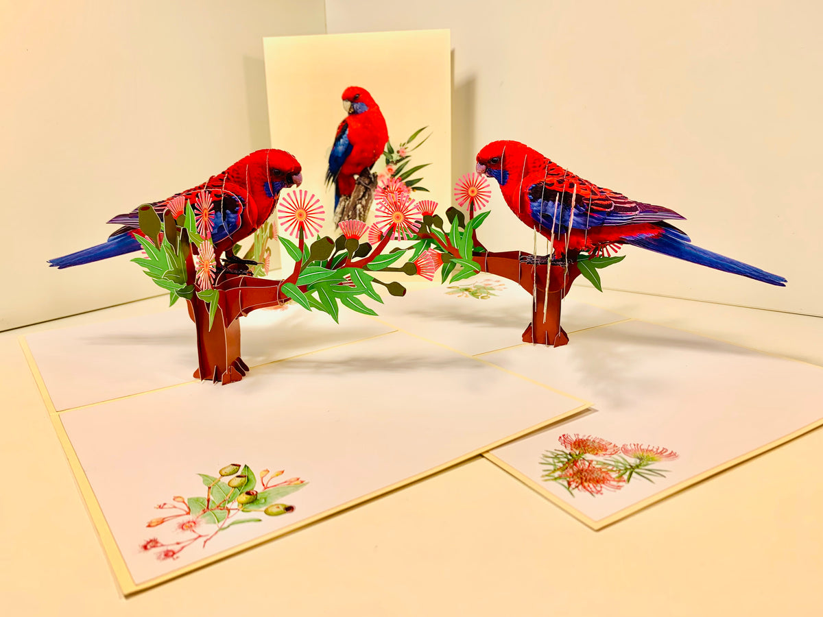 Single Crimson Rosella Parrot Australian Bird Origami Pop Cards 3D Pop Up Greeting Card Happy Birthday Thank You Handmade Gift Thinking of You Blank Card for Any Occasion Happy Mother's Day Happy Father's Australiana Birds