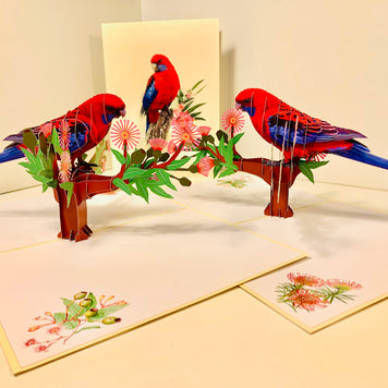 Single Crimson Rosella Parrot Australian Bird Origami Pop Cards 3D Pop Up Greeting Card Happy Birthday Thank You Handmade Gift Thinking of You Blank Card for Any Occasion Happy Mother's Day Happy Father's Australiana Birds