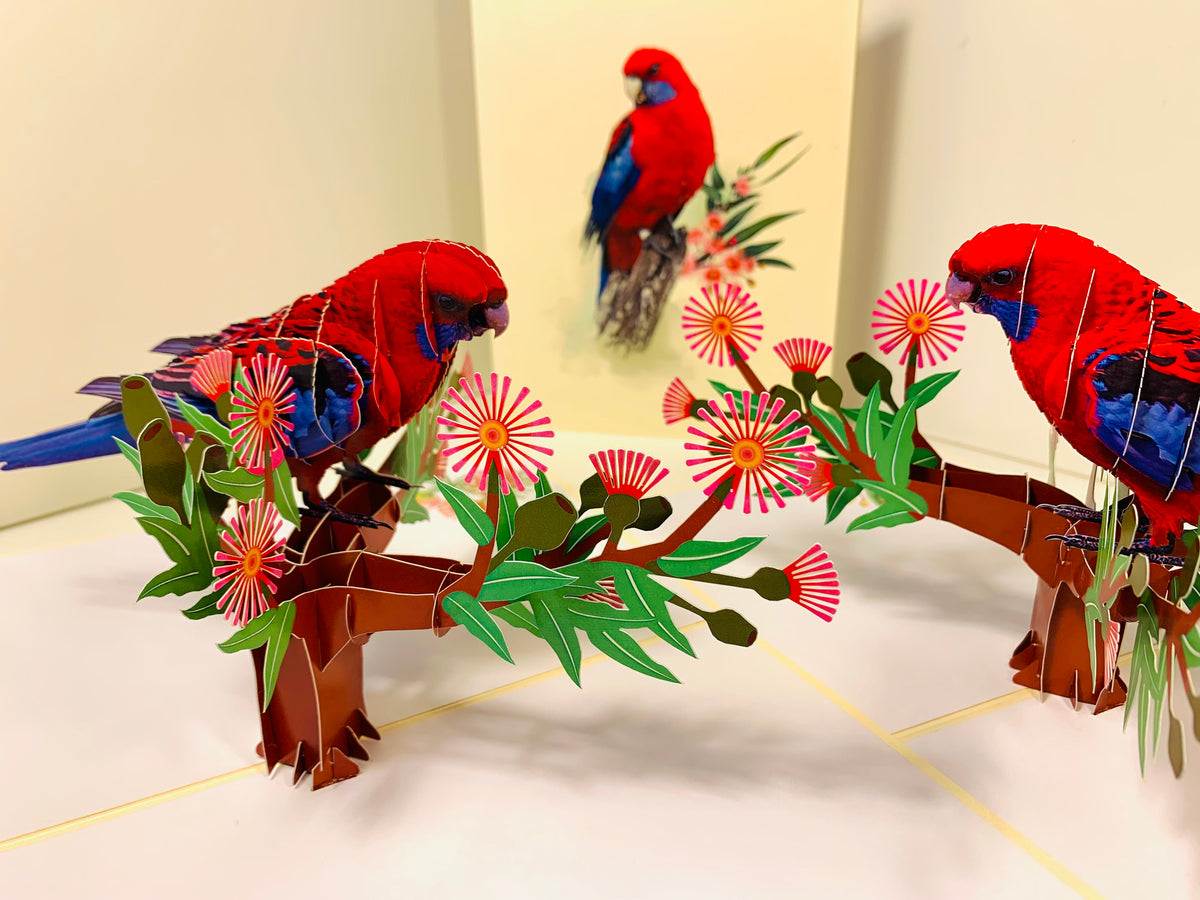 Single Crimson Rosella Parrot Australian Bird Origami Pop Cards 3D Pop Up Greeting Card Happy Birthday Thank You Handmade Gift Thinking of You Blank Card for Any Occasion Happy Mother's Day Happy Father's Australiana Birds