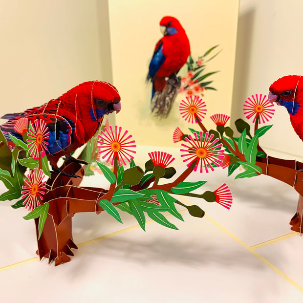 Single Crimson Rosella Parrot Australian Bird Origami Pop Cards 3D Pop Up Greeting Card Happy Birthday Thank You Handmade Gift Thinking of You Blank Card for Any Occasion Happy Mother's Day Happy Father's Australiana Birds