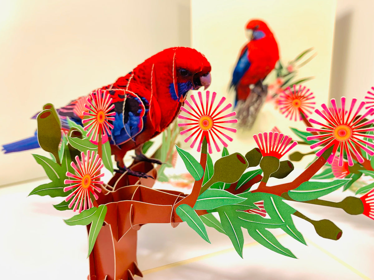 Single Crimson Rosella Parrot Australian Bird Origami Pop Cards 3D Pop Up Greeting Card Happy Birthday Thank You Handmade Gift Thinking of You Blank Card for Any Occasion Happy Mother's Day Happy Father's Australiana Birds