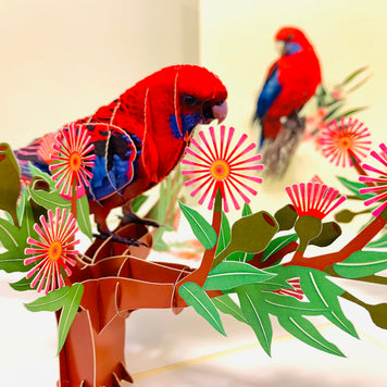 Single Crimson Rosella Parrot Australian Bird Origami Pop Cards 3D Pop Up Greeting Card Happy Birthday Thank You Handmade Gift Thinking of You Blank Card for Any Occasion Happy Mother's Day Happy Father's Australiana Birds