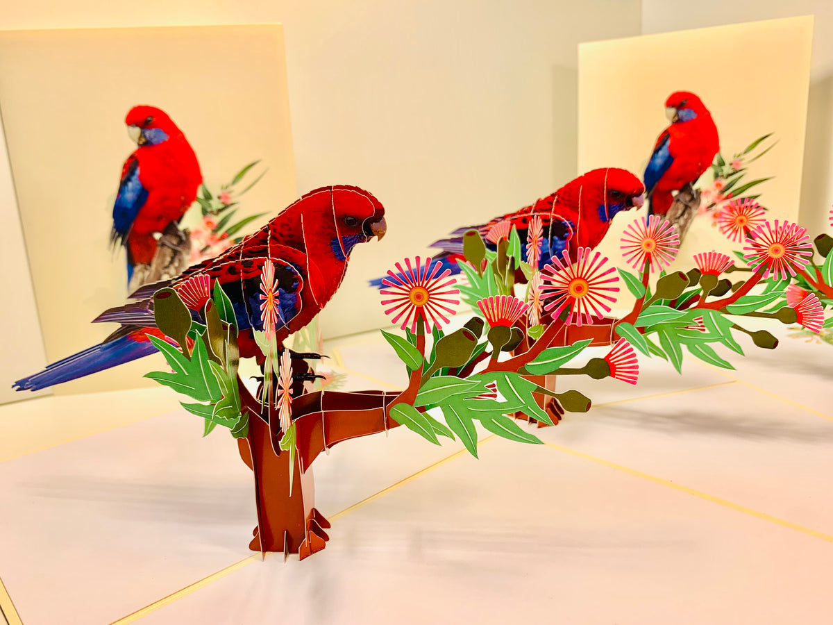 Single Crimson Rosella Parrot Australian Bird Origami Pop Cards 3D Pop Up Greeting Card Happy Birthday Thank You Handmade Gift Thinking of You Blank Card for Any Occasion Happy Mother's Day Happy Father's Australiana Birds