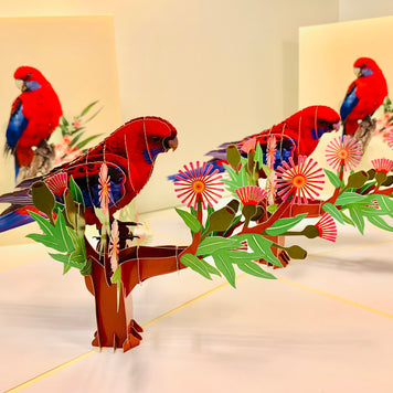 Single Crimson Rosella Parrot Australian Bird Origami Pop Cards 3D Pop Up Greeting Card Happy Birthday Thank You Handmade Gift Thinking of You Blank Card for Any Occasion Happy Mother's Day Happy Father's Australiana Birds