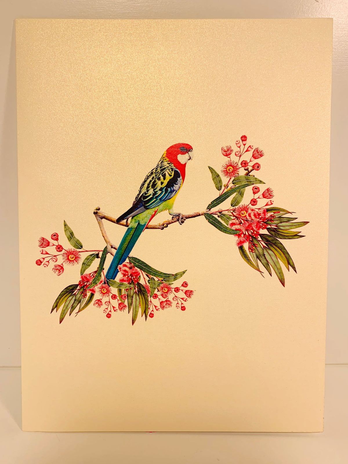 Single Eastern Rosella Parrot Australian Bird Origami Pop Cards 3D Pop Up Greeting Card Happy Birthday Thank You Handmade Gift Thinking of You Blank Card for Any Occasion Happy Mother's Day Happy Father's Australiana Birds