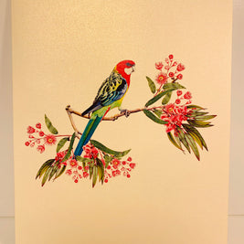 Single Eastern Rosella Parrot Australian Bird Origami Pop Cards 3D Pop Up Greeting Card Happy Birthday Thank You Handmade Gift Thinking of You Blank Card for Any Occasion Happy Mother's Day Happy Father's Australiana Birds