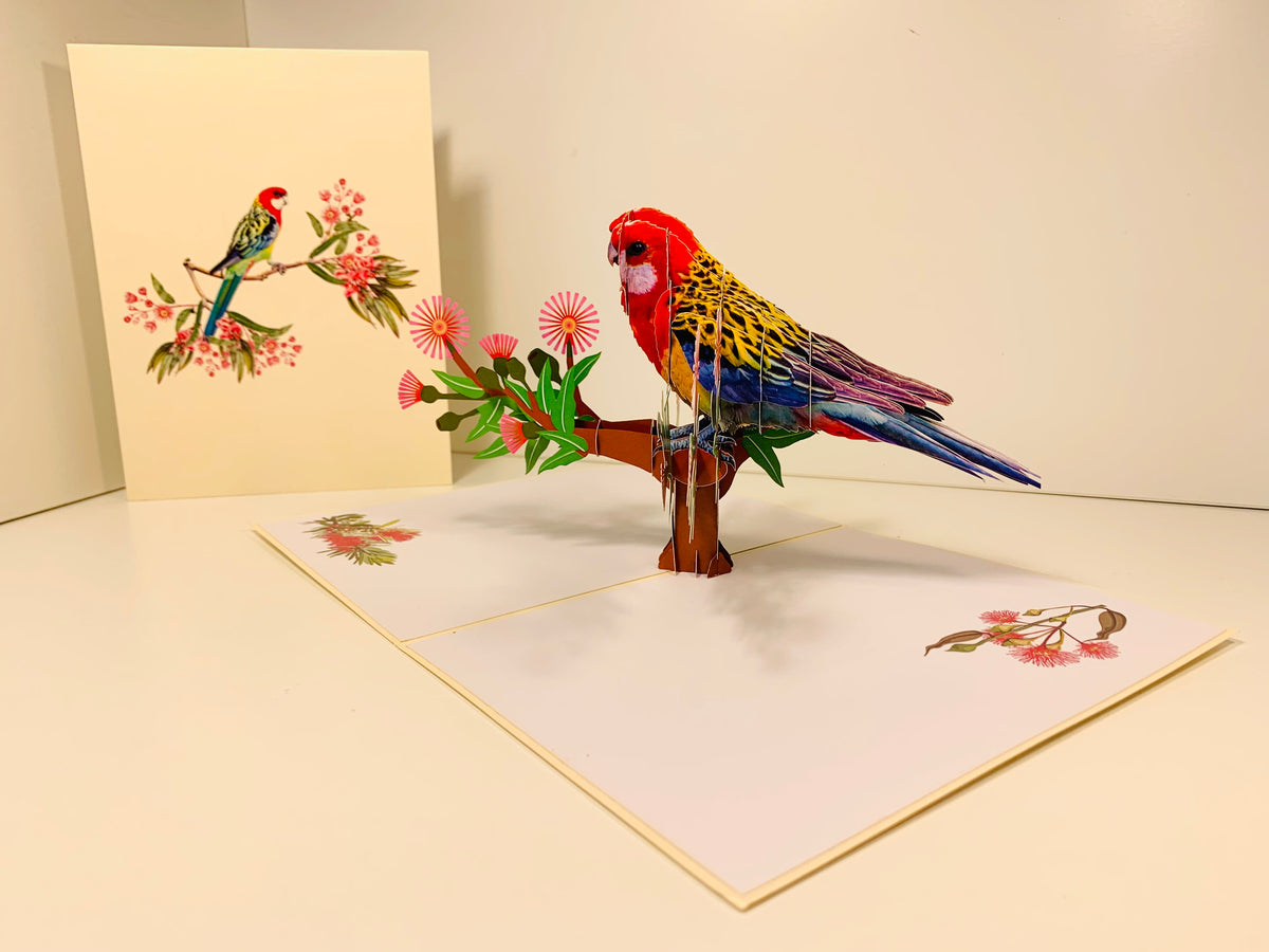 Single Eastern Rosella Parrot Australian Bird Origami Pop Cards 3D Pop Up Greeting Card Happy Birthday Thank You Handmade Gift Thinking of You Blank Card for Any Occasion Happy Mother's Day Happy Father's Australiana Birds