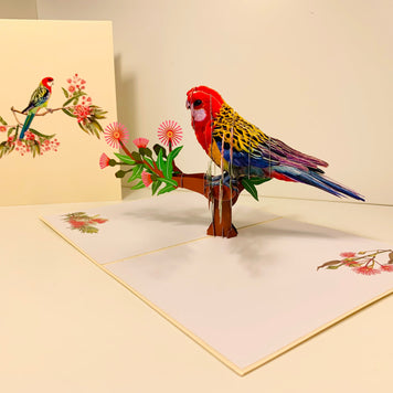 Single Eastern Rosella Parrot Australian Bird Origami Pop Cards 3D Pop Up Greeting Card Happy Birthday Thank You Handmade Gift Thinking of You Blank Card for Any Occasion Happy Mother's Day Happy Father's Australiana Birds
