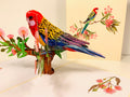 Single Eastern Rosella Parrot Australian Bird Origami Pop Cards 3D Pop Up Greeting Card Happy Birthday Thank You Handmade Gift Thinking of You Blank Card for Any Occasion Happy Mother's Day Happy Father's Australiana Birds