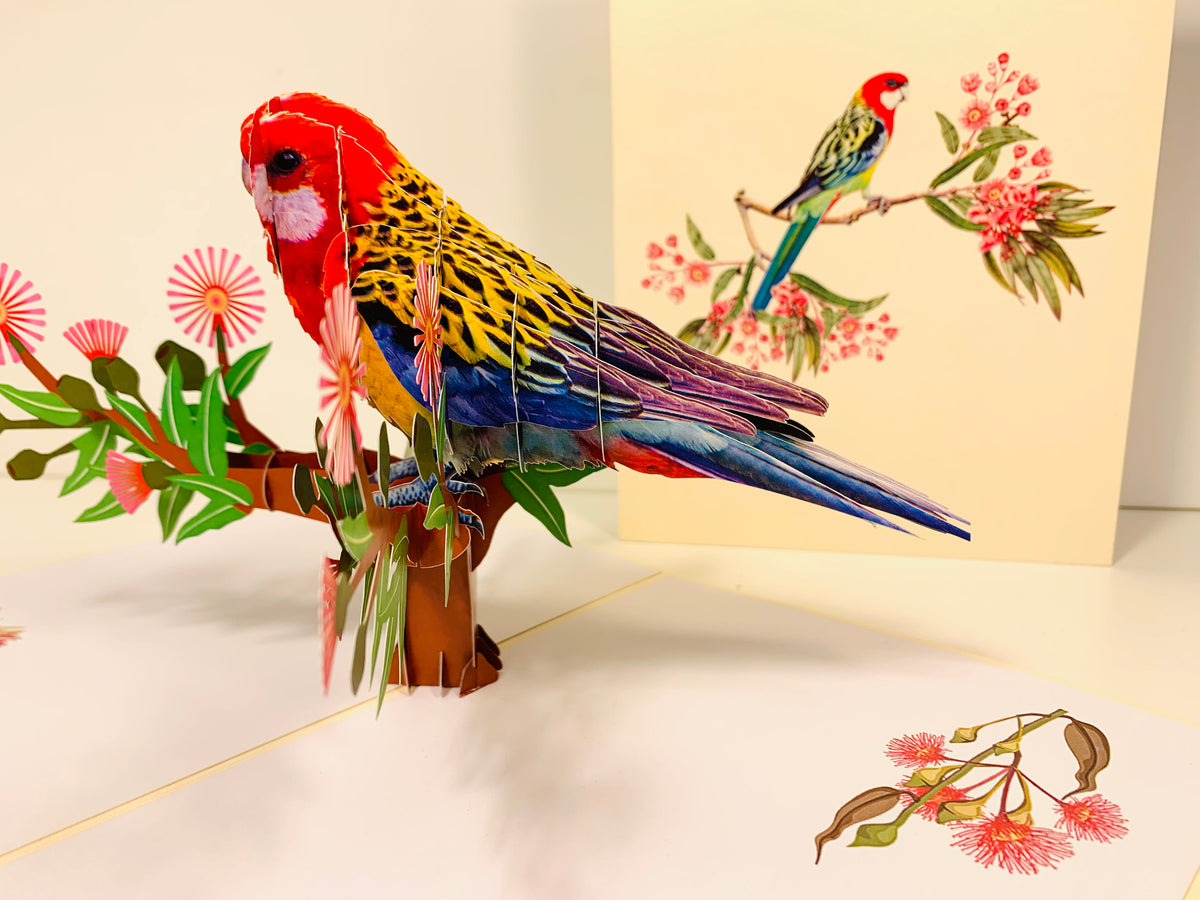 Single Eastern Rosella Parrot Australian Bird Origami Pop Cards 3D Pop Up Greeting Card Happy Birthday Thank You Handmade Gift Thinking of You Blank Card for Any Occasion Happy Mother's Day Happy Father's Australiana Birds