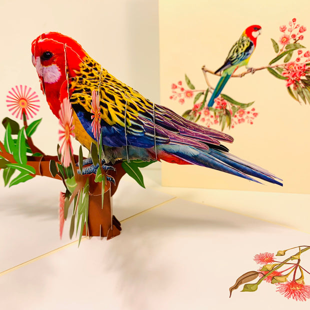 Single Eastern Rosella Parrot Australian Bird Origami Pop Cards 3D Pop Up Greeting Card Happy Birthday Thank You Handmade Gift Thinking of You Blank Card for Any Occasion Happy Mother's Day Happy Father's Australiana Birds