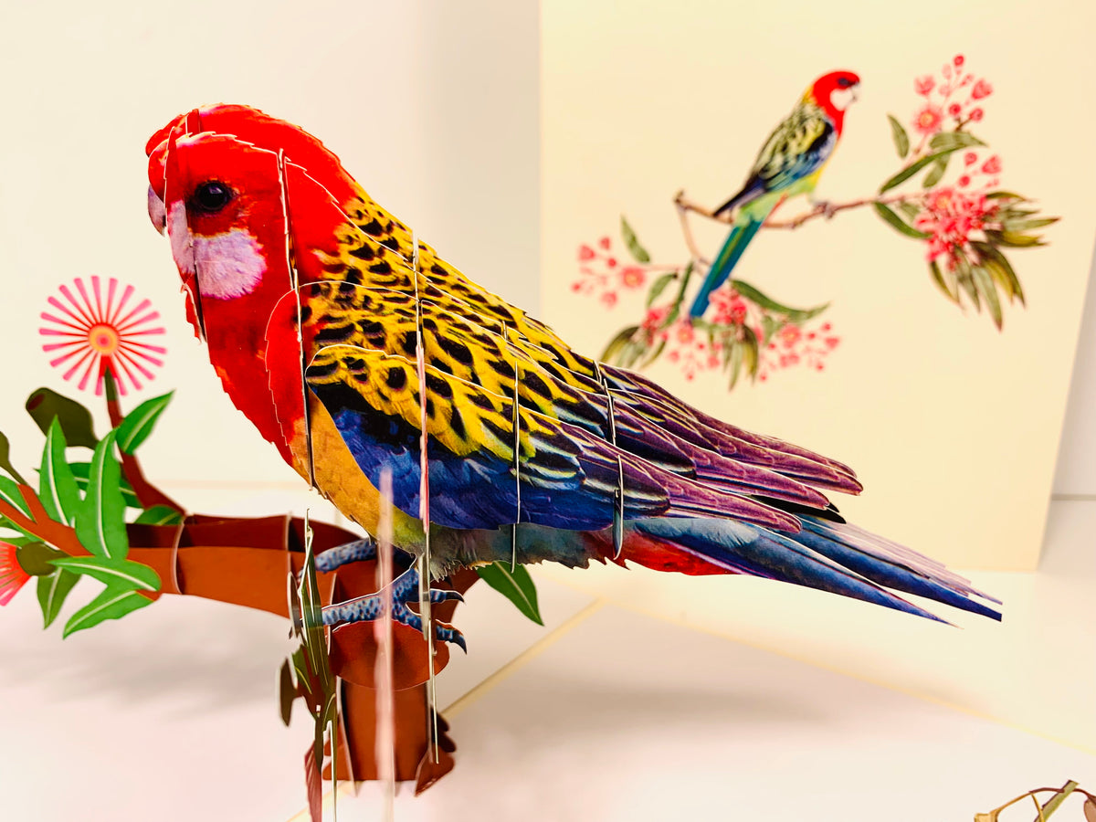 Single Eastern Rosella Parrot Australian Bird Origami Pop Cards 3D Pop Up Greeting Card Happy Birthday Thank You Handmade Gift Thinking of You Blank Card for Any Occasion Happy Mother's Day Happy Father's Australiana Birds