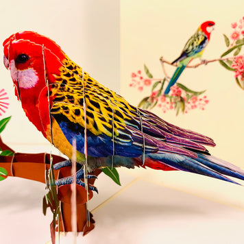 Single Eastern Rosella Parrot Australian Bird Origami Pop Cards 3D Pop Up Greeting Card Happy Birthday Thank You Handmade Gift Thinking of You Blank Card for Any Occasion Happy Mother's Day Happy Father's Australiana Birds