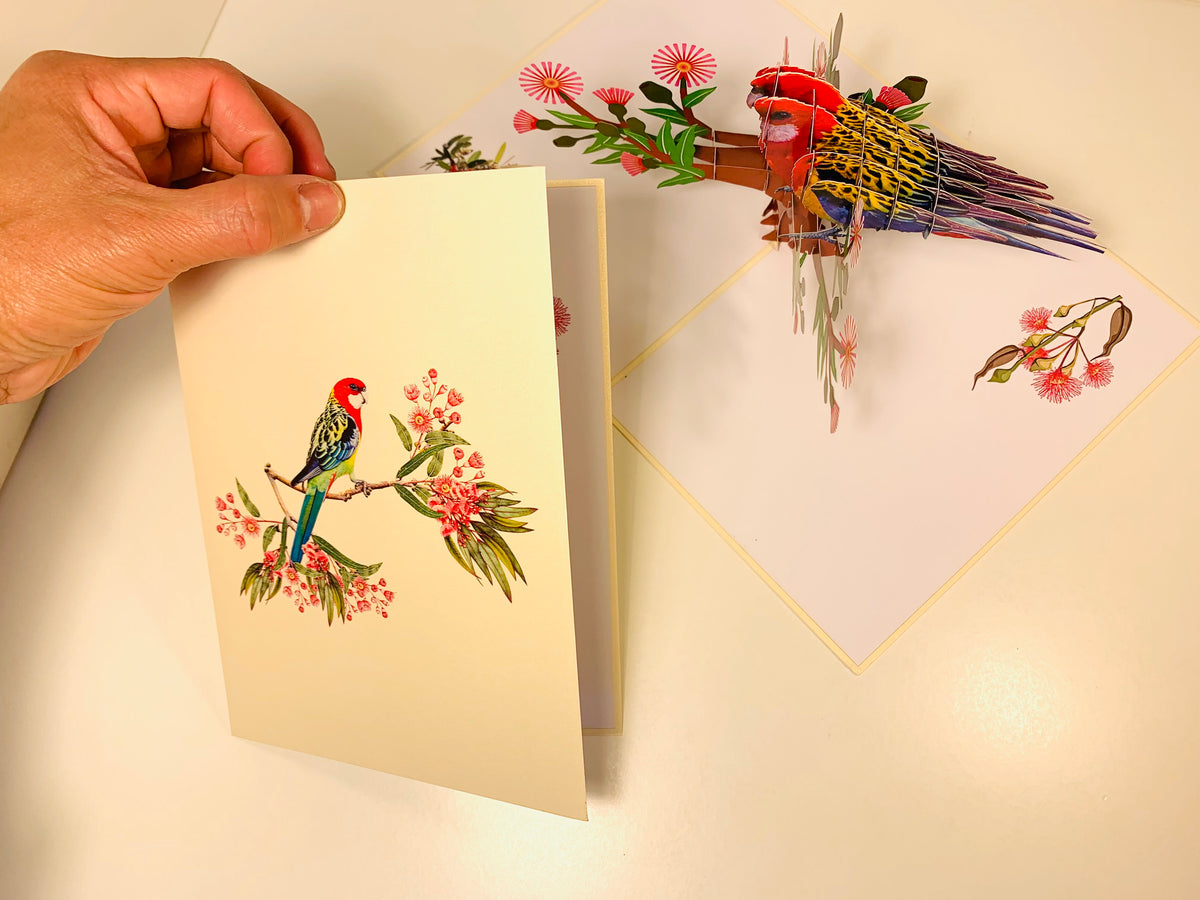 Single Eastern Rosella Parrot Australian Bird Origami Pop Cards 3D Pop Up Greeting Card Happy Birthday Thank You Handmade Gift Thinking of You Blank Card for Any Occasion Happy Mother's Day Happy Father's Australiana Birds