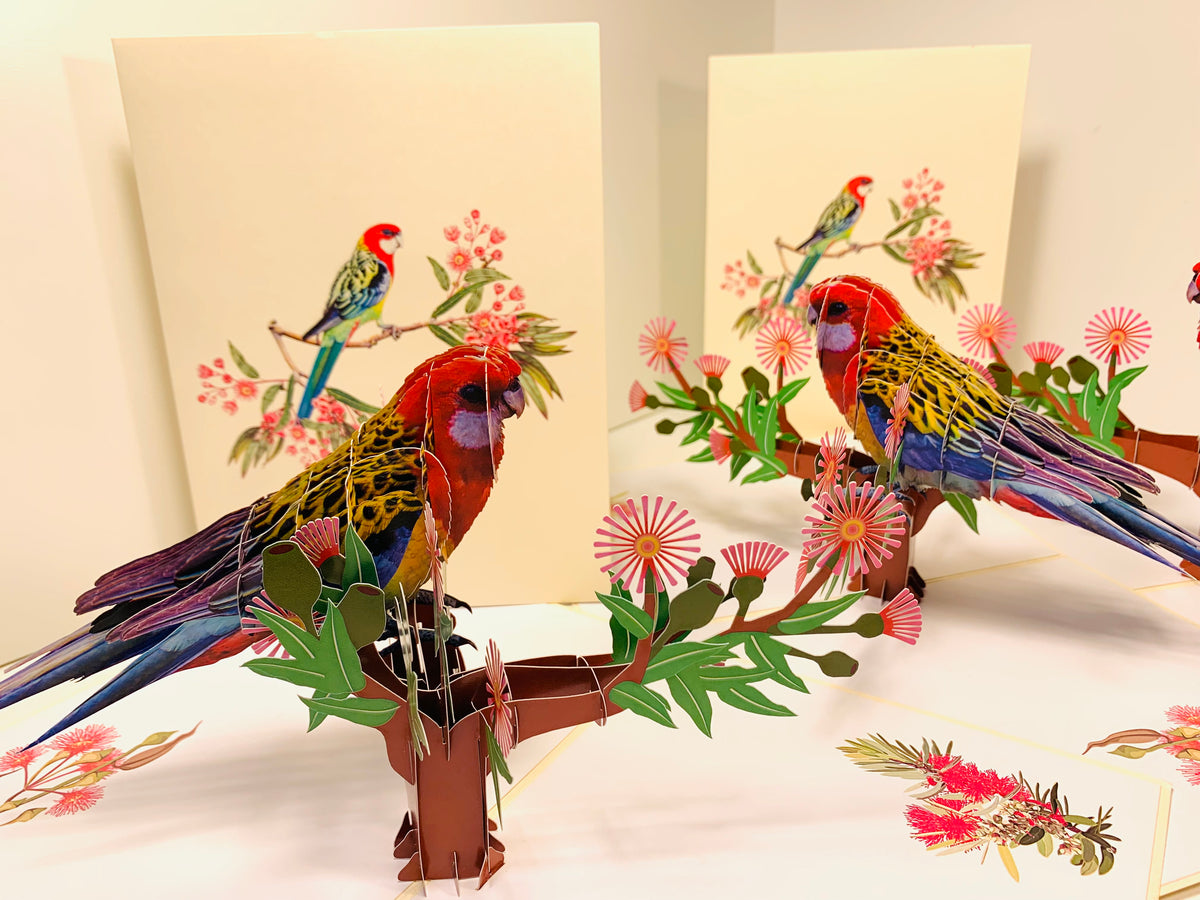 Single Eastern Rosella Parrot Australian Bird Origami Pop Cards 3D Pop Up Greeting Card Happy Birthday Thank You Handmade Gift Thinking of You Blank Card for Any Occasion Happy Mother's Day Happy Father's Australiana Birds