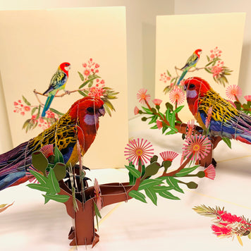 Single Eastern Rosella Parrot Australian Bird Origami Pop Cards 3D Pop Up Greeting Card Happy Birthday Thank You Handmade Gift Thinking of You Blank Card for Any Occasion Happy Mother's Day Happy Father's Australiana Birds