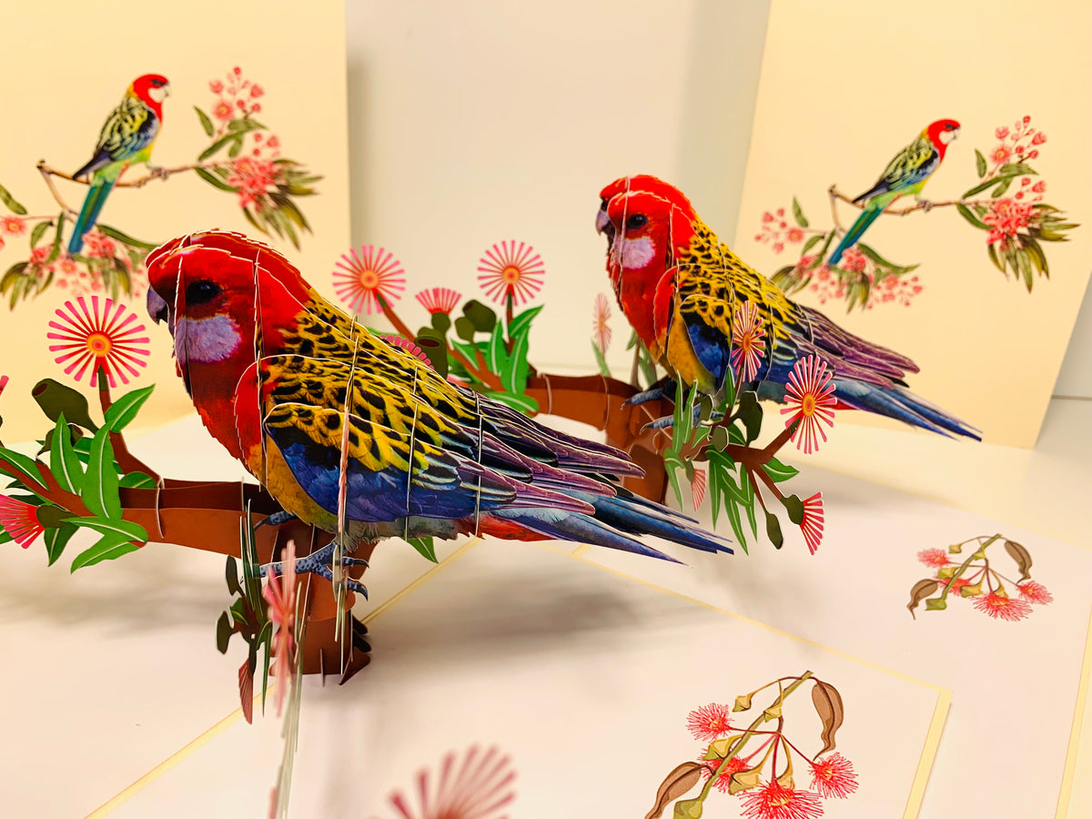 Single Eastern Rosella Parrot Australian Bird Origami Pop Cards 3D Pop Up Greeting Card Happy Birthday Thank You Handmade Gift Thinking of You Blank Card for Any Occasion Happy Mother's Day Happy Father's Australiana Birds