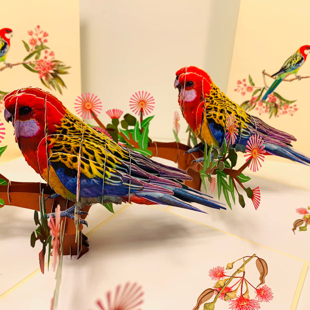 Single Eastern Rosella Parrot Australian Bird Origami Pop Cards 3D Pop Up Greeting Card Happy Birthday Thank You Handmade Gift Thinking of You Blank Card for Any Occasion Happy Mother's Day Happy Father's Australiana Birds