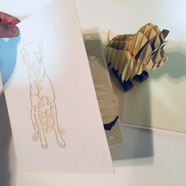 Super Cute Sitting Dog in Cream White - Perfect for Dog Lovers Origami Pop Cards 3D Pop Up Greeting Card Happy Birthday Thank You Handmade Happy Father's Day Australiana Celebration Gift Thinking of You Blank Card for Any Occasion Happy Friendship's Day