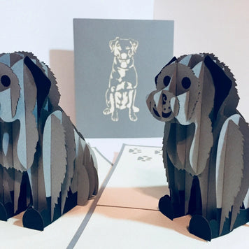 Super Cute Sitting Dog in Light Grey - Perfect for Dog Lovers Origami Pop Cards 3D Pop Up Greeting Card Happy Birthday Thank You Handmade Happy Father's Day Australiana Celebration Gift Thinking of You Blank Card for Any Occasion Happy Mother's Day