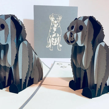 Super Cute Sitting Dog in Light Grey - Perfect for Dog Lovers Origami Pop Cards 3D Pop Up Greeting Card Happy Birthday Thank You Handmade Happy Father's Day Australiana Celebration Gift Thinking of You Blank Card for Any Occasion Happy Mother's Day