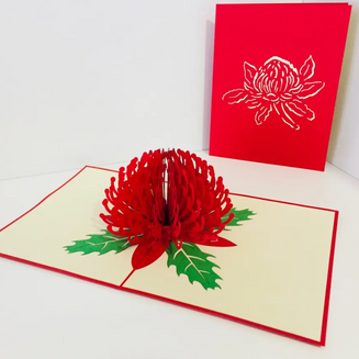 Waratah Australian Native Flower in Red Origami Pop Cards 3D Pop Up Greeting Card Happy Birthday Thank You Handmade Gift Thinking of You Blank Card for Any Occasion Happy Mother's Day Australiana Celebrate the Beauty of Flower