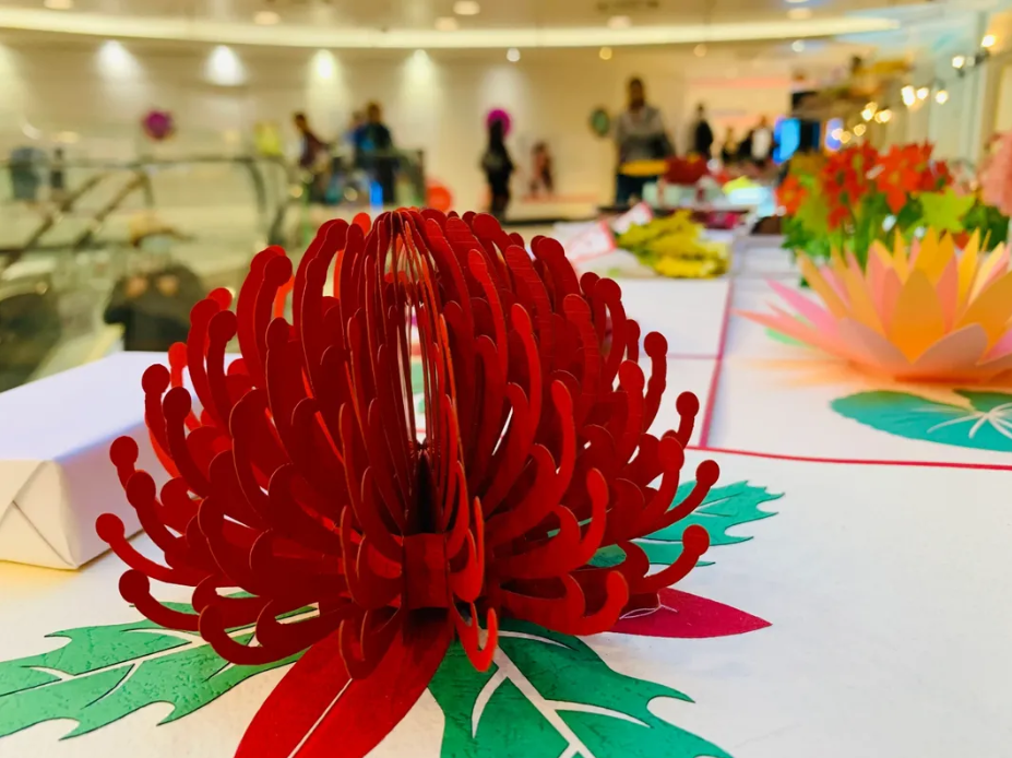 Waratah Australian Native Flower in Red Origami Pop Cards 3D Pop Up Greeting Card Happy Birthday Thank You Handmade Gift Thinking of You Blank Card for Any Occasion Happy Mother's Day Australiana Celebrate the Beauty of Flower