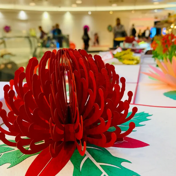 Waratah Australian Native Flower in Red Origami Pop Cards 3D Pop Up Greeting Card Happy Birthday Thank You Handmade Gift Thinking of You Blank Card for Any Occasion Happy Mother's Day Australiana Celebrate the Beauty of Flower