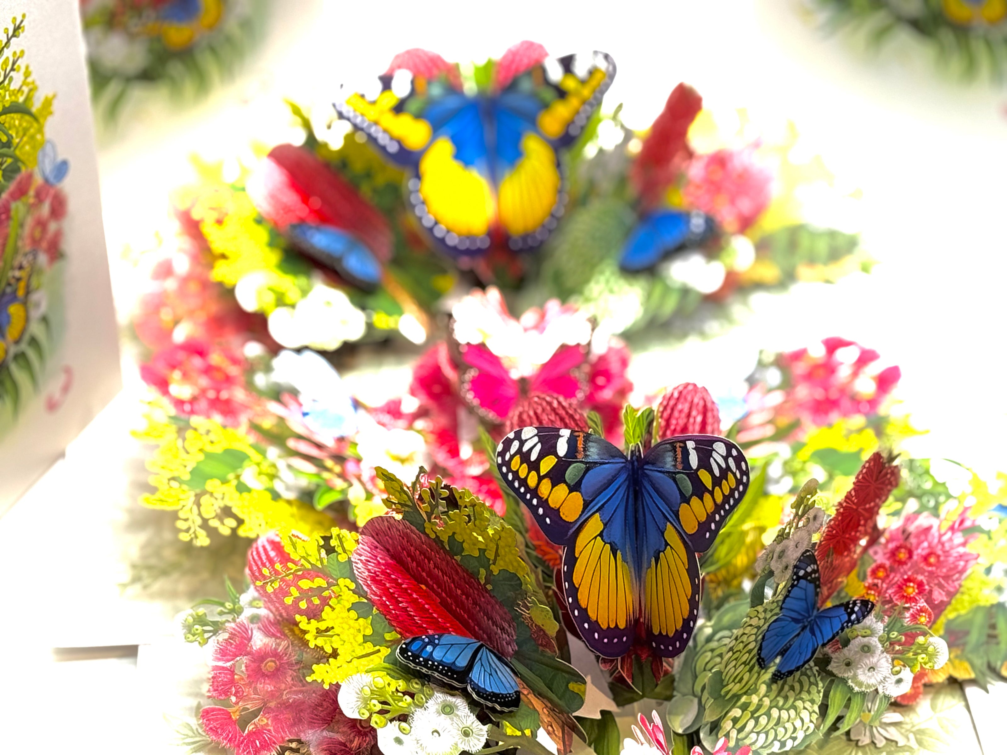 Spring Australian Native Garden with Butterflies Origami Pop Cards 3D Pop Up Greeting Card Happy Birthday Thank You Handmade Gift Thinking of You Blank Card for Any Occasion Happy Mother's Day Happy Father's Australiana Celebrate the Beauty of Flower