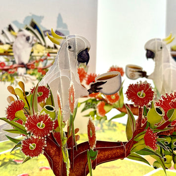 Sulphur-Crested White Cockatoo Having Its Morning Coffee Origami Pop Cards 3D Pop Up Greeting Card Celebrate Happy Birthday Thank You Handmade Best Wishes Gift Thinking of You Blank Card for Any Occasion Happy Mother's Day Happy Father's Day Australiana